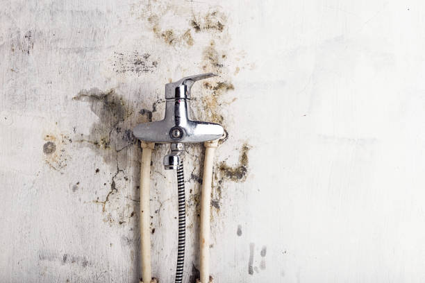 Best Water Damage Restoration  in Evanston, WY