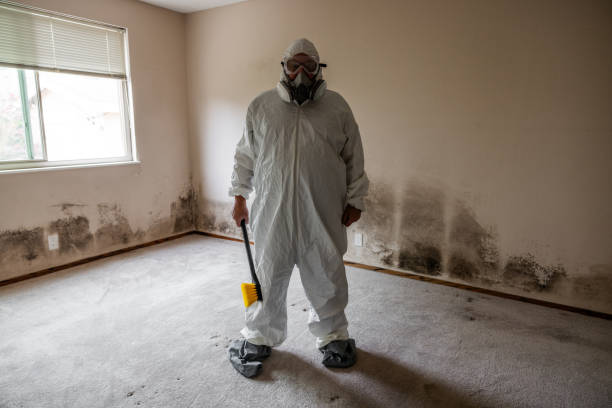 Best Certified Mold Removal  in Evanston, WY